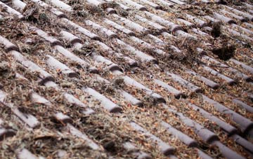 Brome roof cleaning companies