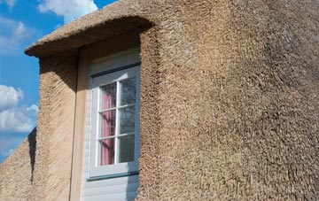 Brome thatch roof disadvantages