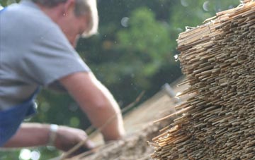 professional Brome thatchers