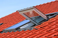 Brome roof window