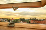 rated Brome roof window companies